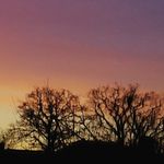 Elmer Karlstrand - @elmer.karlstrand - Instagram
