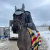 Thea Karlstrand - @karlstrandthea - TikTok