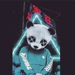 Karl Strauch - @smile_hund - Instagram