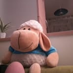 Stricker Karl - Facebook