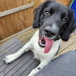 Karl Strong - @karlstrong - Instagram