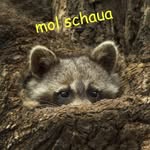 Karl Heinz Stumpf - @karlheinz.stumpf.31 - Instagram