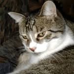 Karl Stump - @karl.stump.5 - Instagram