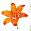 Karl Sutter - @karl.sutter6 - TikTok