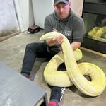 Karl Teague - @karl_t80 - Instagram