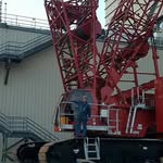 Karl Temple - @bullwright77 - Instagram