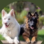 Karl Temple - @karltemple1 - Instagram