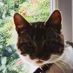 @karl__todd - Instagram
