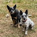 Todd Karl - @todd.karl - Instagram