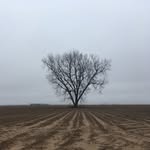 Karl Walker - @soku399 - Instagram