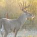 Karl Wanke - Facebook