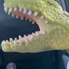 Croco - @karlweaver1 - TikTok