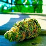Karl Weaver - @lm0700199 - Instagram