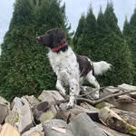 Karl Weigel - @weigel4949 - Instagram