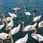 Karl Weiss - @kallew617 - Instagram