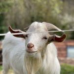 Karl Weiß - @dieweissegeiss - Instagram