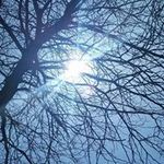 Carl Welch - @carlwelch600 - Instagram