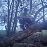 Carl Whiting - @carl.whiting.397 - Instagram