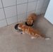 Karl Wichmann - Facebook