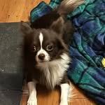Karl Willis - @karl.willis.77312 - Instagram