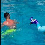 Karl Wright - @karl_wright1 - Instagram