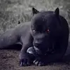 karlwright746 - @karlwright746 - TikTok