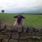 Karl Yates - @karl.yates.73 - Instagram