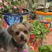 Karla Abraham - Facebook