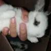 karlaadkins1 - @karlaadkins1 - TikTok