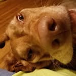Karla Akers - @akers3481 - Instagram