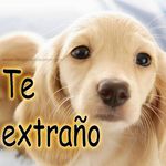 karla astudillo - @karlaastudilloastudillo - Instagram