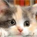 Carla Baird - Facebook