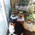 Karla Benton - Facebook