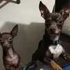 Karla_castrejon - @karla_castrejon - TikTok