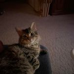 Karla Chambers - @chamberskarla - Instagram