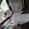 karlachambers3 - @karlachambers3 - TikTok