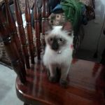 Karla chong - @ka_rla6024 - Instagram