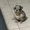 KarlaChong - @karlachongv - TikTok