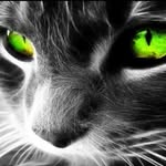 Karla Clarke - @xxkittylovecatsxx - Instagram