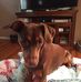Karla Compton Durham - Facebook