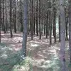 karla concha - @karlaconcha - TikTok