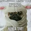 Karla Cunha - @karlacunha13 - TikTok