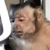 Karla Donato - @karladonato34 - TikTok