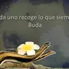 .. - @karladonis342 - TikTok