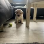 Karla Eckstein - Facebook