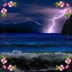 Karla Edgar - @ocean7river4 - Instagram