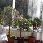 Karla Ernst - @karlaernst99 - Instagram