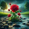 @karlaeusedahn - @user2768309494646 - TikTok