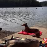 Karla Falk - @karlafalk58 - Instagram