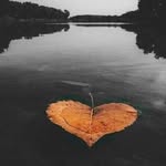 Karla Neuhausel Flint - @kfblueyes - Instagram
